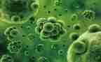 生物缸个人总结通用7篇