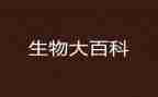 做生物实验心得体会7篇