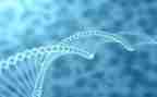 高中生物教学计划6篇