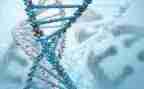 做生物实验心得体会5篇