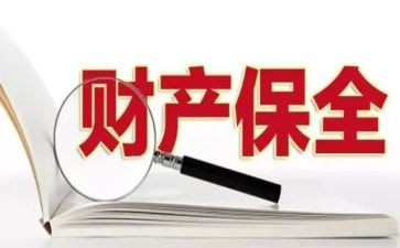 村保全申请书通用7篇