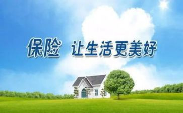 保险公司心得体会模板5篇