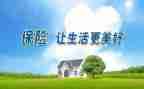 保险公司心得体会模板5篇