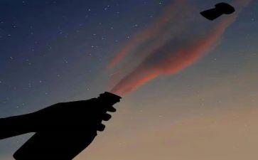 猫的悲剧读后感5篇