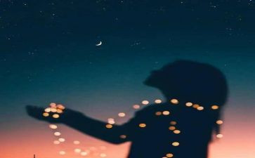 猫的悲剧读后感优质8篇