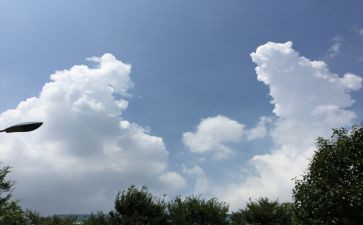 我变化大作文500字精选7篇