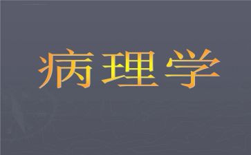 病理室工作计划6篇