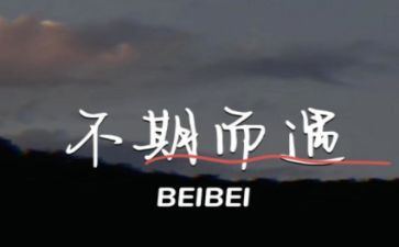 不期而遇的美作文优质8篇