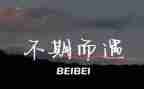 不期而遇的美作文优质8篇
