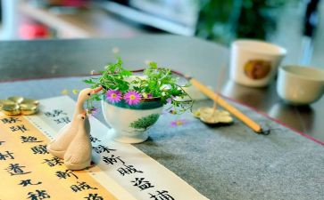不同的我作文500字5篇