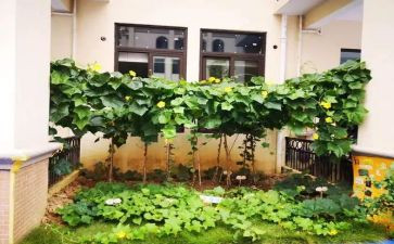 传菜工作总结参考8篇