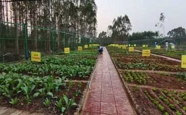 湘菜活动方案策划优质7篇