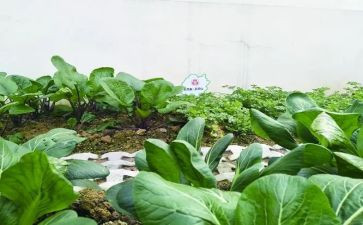 湘菜餐厅工作计划精选7篇