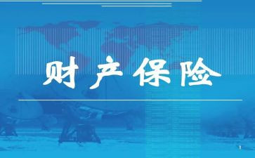 财险年工作计划5篇
