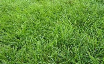 烟草局周工作总结7篇
