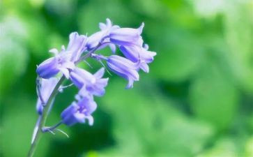 禁烟草演讲稿优质5篇