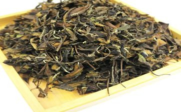 茶演讲稿范文推荐6篇