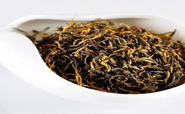 我与茶作文5篇