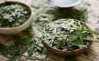个人茶年度总结推荐7篇