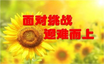 尝试作文400字5篇