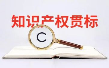 知产权工作总结5篇