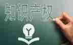 知识产权周工作计划6篇