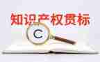 知产权工作总结5篇