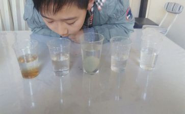 中班科学沉浮教案8篇