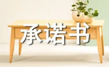 ____的承诺作文600字精选8篇