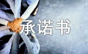 项目售后服务承诺书8篇