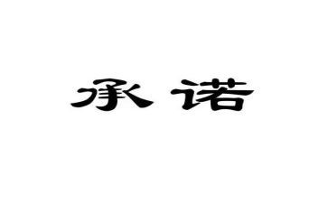 老师的承诺书精选6篇