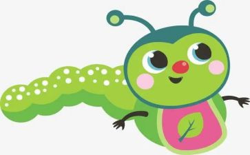 昆虫迷作文5篇