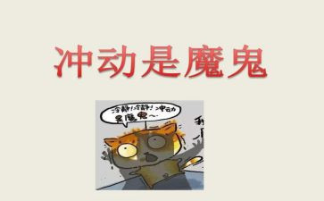 冲动的作文优质6篇