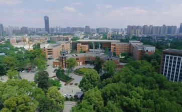 参观川大博物馆心得体会优质6篇