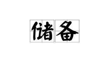 储备个人总结7篇