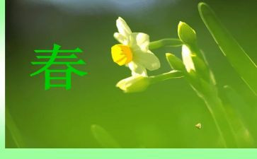 幼儿园春季学期工作计划推荐5篇