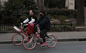低碳出行作文精选5篇