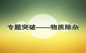 除杂工作总结最新8篇