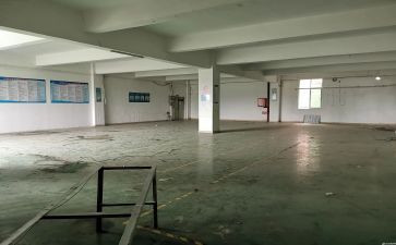 2024仓库年度总结参考8篇