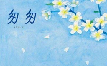 那年匆匆的演讲稿7篇