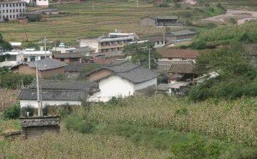 村精准扶工作总结优秀5篇