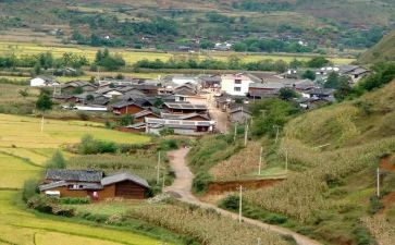 在村工作总结报告参考5篇