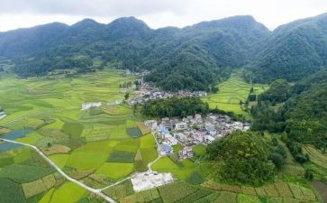 村社区雷锋日活动总结7篇