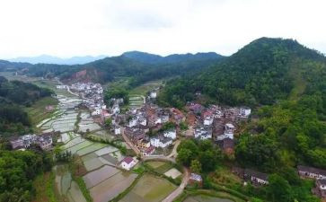 村领导到学校的讲话稿优秀8篇