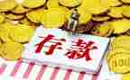 拉存款心得5篇