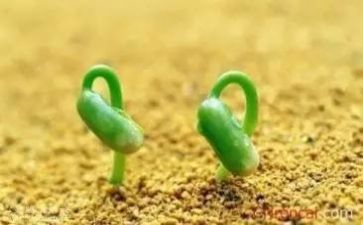 挫折的事作文600字5篇