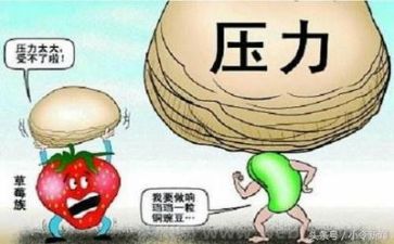 我面对挫折作文800字6篇