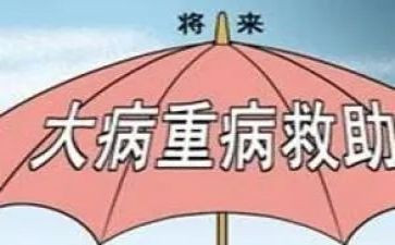 申请大病低保申请书6篇