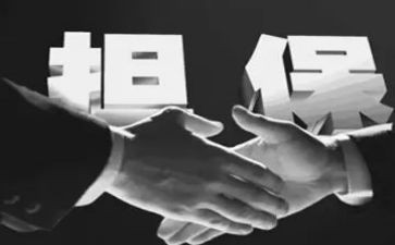 融资担保公司年终总结5篇