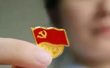 党训心得3000字8篇